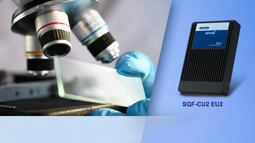 Elevating Enterprise Performance: Utilizing SQF CU-2 EU2 in Multinucleated Cell Detection